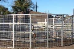 Horse Walking Arena